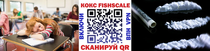 Cocaine FishScale  даркнет сайт  Агрыз 