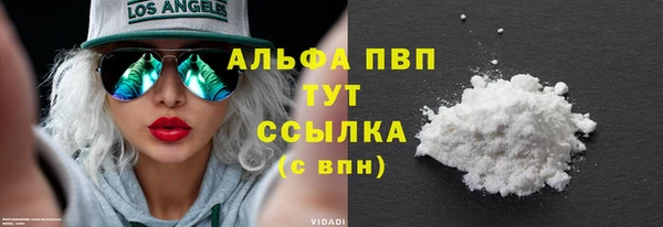 хмурый Арсеньев