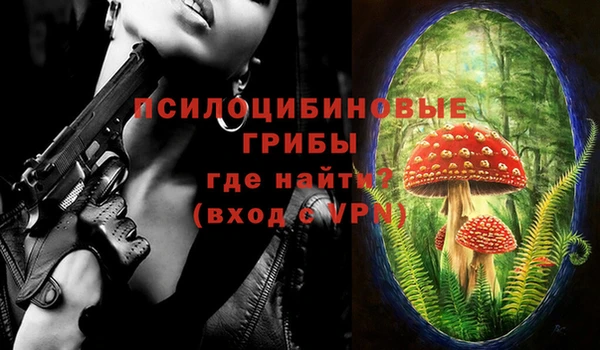 хмурый Арсеньев