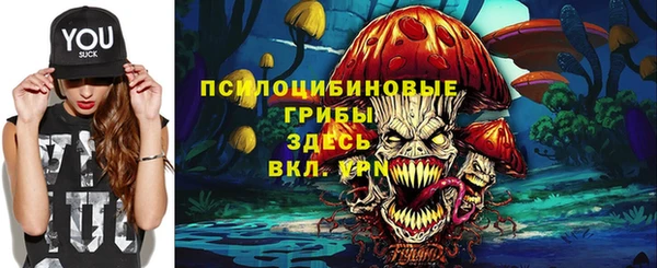 ПСИЛОЦИБИНОВЫЕ ГРИБЫ Алексеевка