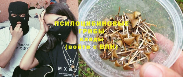 дмт Аркадак