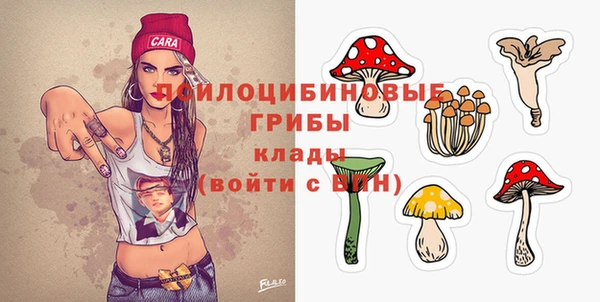 PSILOCYBIN Алзамай
