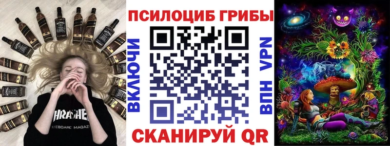 Псилоцибиновые грибы Cubensis  Агрыз 